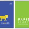 ID-PAPIER KOLOROWY A4 5902277328632