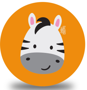 ARTY-PIŁKA PVC 230 MM — ZEBRA POMARAŃCZOWY 5901811133664