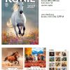 KALENDARZ ŚCIENNY A4 KONIE 2027 a2 5906190827609